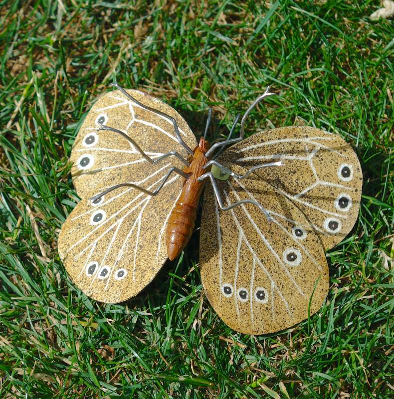 Ringlet Butterfly - underside
